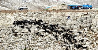 Yörüklerin Yol Sorunu Çözüldü