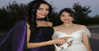 Gelin Tayvandan Damat Amerikadan Düğün Diyarbakırda