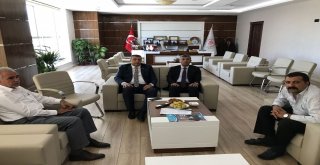 İnceden İstişare Vurgusu