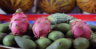 Ejder Meyvesini Soran Çok, Alan Yok