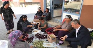 Belediye Başkanı Tahmazoğlu Patlıcan Oydu