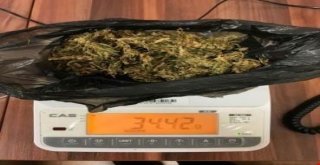 Muşta Uyuşturucu Operasyonu