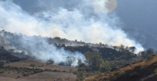 Gümüşhanede Örtü Yangını