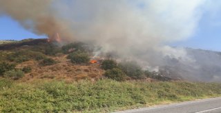 Sökede Arazi Yangını