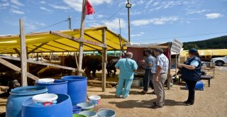 Maltepede Kurban Denetimi