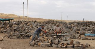 Siirtli Oduncular Satışlardan Memnun