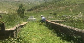 Tatvandaki Mezarlıklar Temizleniyor