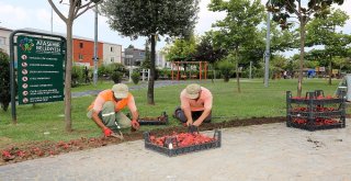 Ataşehirde Parklar Hem Çoğalıyor Hem Yenileniyor