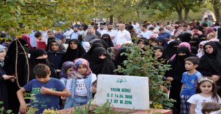 Yasin Börü Ve Arkadaşları Mezarları Başında Anıldı