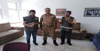 Vanda Kaçak Avlanmış 4 Yavru Keklik Ele Geçirildi