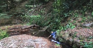 Tarzana Özendi, Sarmaşık Kopunca Suya Düştü