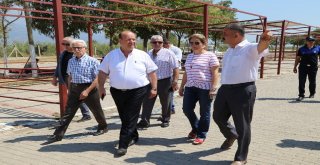 Efeler Kurban Bayramına Hazırlanıyor