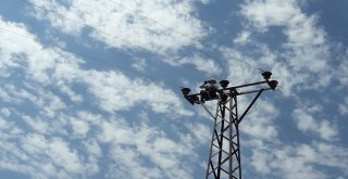 Vedaştan ‘Kuşkonmaz Montajı Ve Orta Gerilim İzolasyon Çalışması