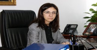 Yalova Valiliğinden Dolandırıcılık Uyarısı