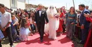 Yüksekovalı Avukat Çifte Renkli Kır Düğünü