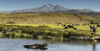 Başkan Çelik, Kayserinin Değerlerinin Ortaya Çıkarılmasına Katkı Sağlıyoruz