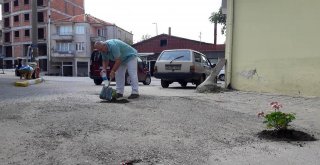 Edirne İl Genel Meclis Üyesi Yol Ortasına Çiçek Dikti