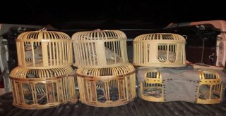 Vanda Kafes Avcısına Ceza