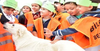 200 Anaokulu Öğrencisi Can Dostları İle Buluştu