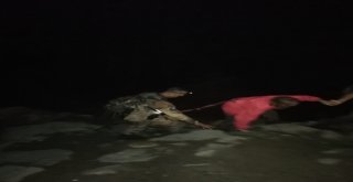 Yaylada Kaybolan Turistleri Jak Yardımıyla Bulundu