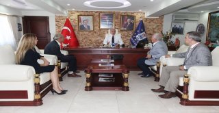 Bağımsız Denetim İşletmeler İçin Yararlı Sistem