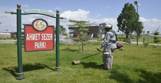 Çimler Biçiliyor, Yabani Otlar Temizleniyor