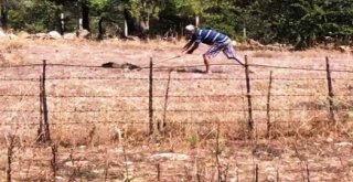 Kürekle Şahin Öldüren Şahsa 10 Bin Tl Para Cezası