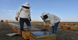 Genç Çiftçilerin Yüzü Devlet Desteğiyle Gülüyor