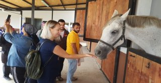 Kartepeli Kadınlar Yürüyüşte