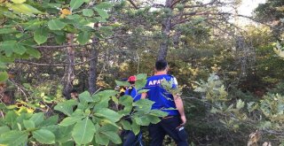 Aç Kurttan Kaçan 40 Koyun Telef Oldu