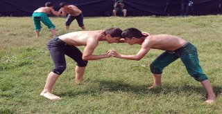 25İnci Geleneksel Sancaktepe Yağlı Güreşlerinde Başpehlivan Ali Gürbüz Oldu