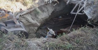 Çankırıda Fosseptik Çukuruna Düşen İnek Kurtarıldı