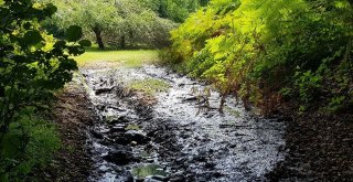 Dereye Resmi Araçla Kanalizasyon Atığı Dökülmesine Soruşturma