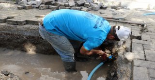 Manisada Kurban Bayramı Hazırlıkları Tamamlandı