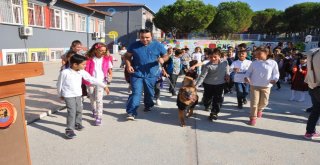 Öğrencilerden Köpeğe Mektup