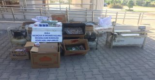 Fethiyede Kaçak Tütün İmalathanesine Baskın: 2 Tutuklama