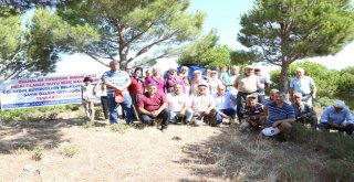 Koçarlı Pınarcık Mahallesinde Su Sevinci