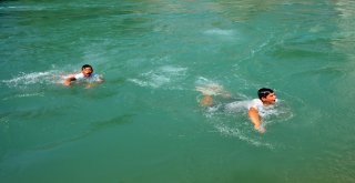 Adanada Termometreler 48 Dereceyi Gösterdi, Köpekler Göle Girdi