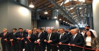 Düşler Oyunlar Ve Okumalar Sergisi