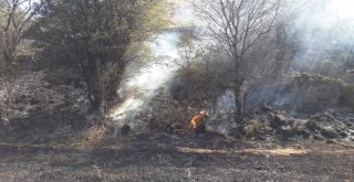 Bahçe Yangını Korkuttu