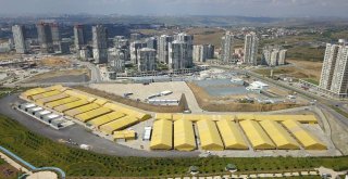 Başakşehir, Kurban Bayramına Hazır