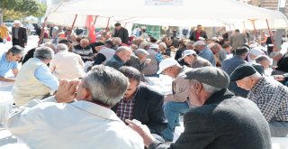 Ahi Pilavına Yoğun İlgi