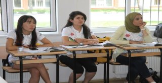 Türkiye Ve Türkçeyi Yaşayarak, Yerinde Öğreniyorlar