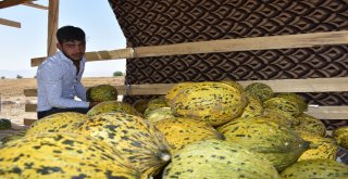 Muşta Pazar Sıkıntısı