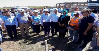 İşbilen: İnsanların Bize Tolerans Göstermesini İstiyoruz