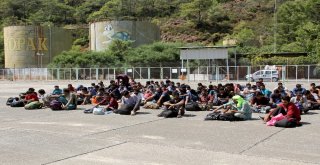 Pakistan Uyruklu 73 Kaçak Göçmen Yakalandı