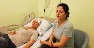 Köpeklerini Gezdirirken Taşlı Saldırıya Uğradı