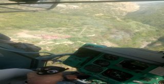 Hatayda Orman Yangını