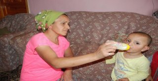 Evrimi En Son Gören 1,5 Yaşındaki Kardeşi Sati, Yengesine Emanet