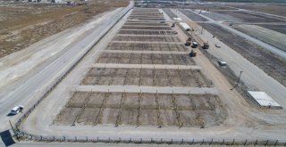 Meramda Kurban Satış Ve Kesim Yerleri Belli Oldu